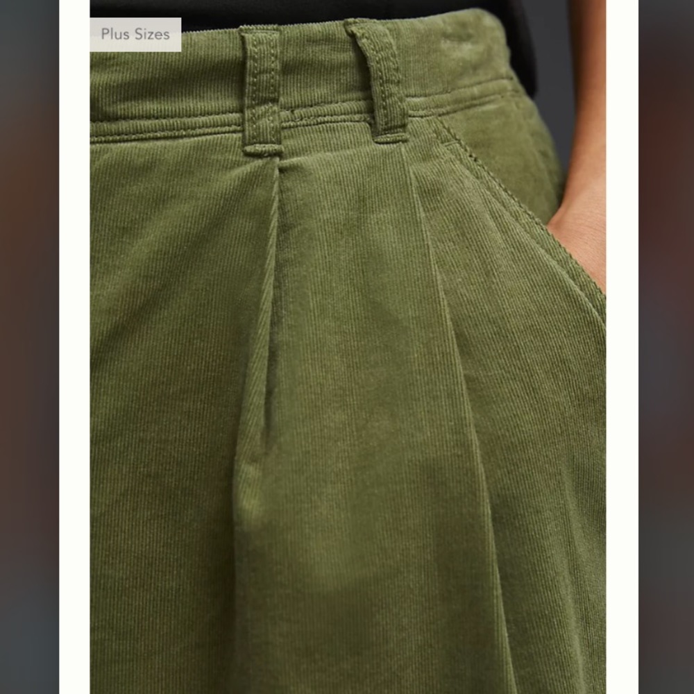 Anthropologie Pleated Wide-Leg Corduroy Trousers - Picture 6 of 15